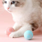 PetGravity™ | endlich neue Action!